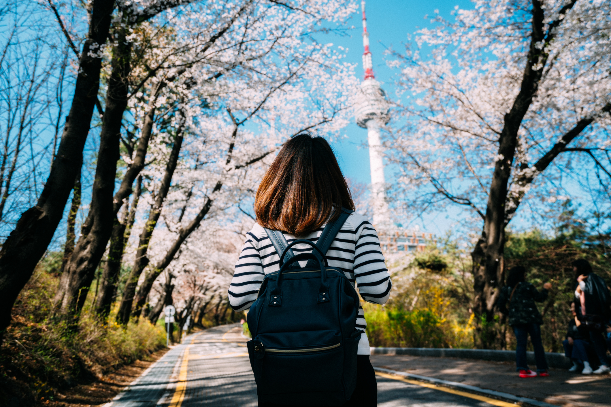 South Korea - girl with backpack, cherry blossoms Getty Image