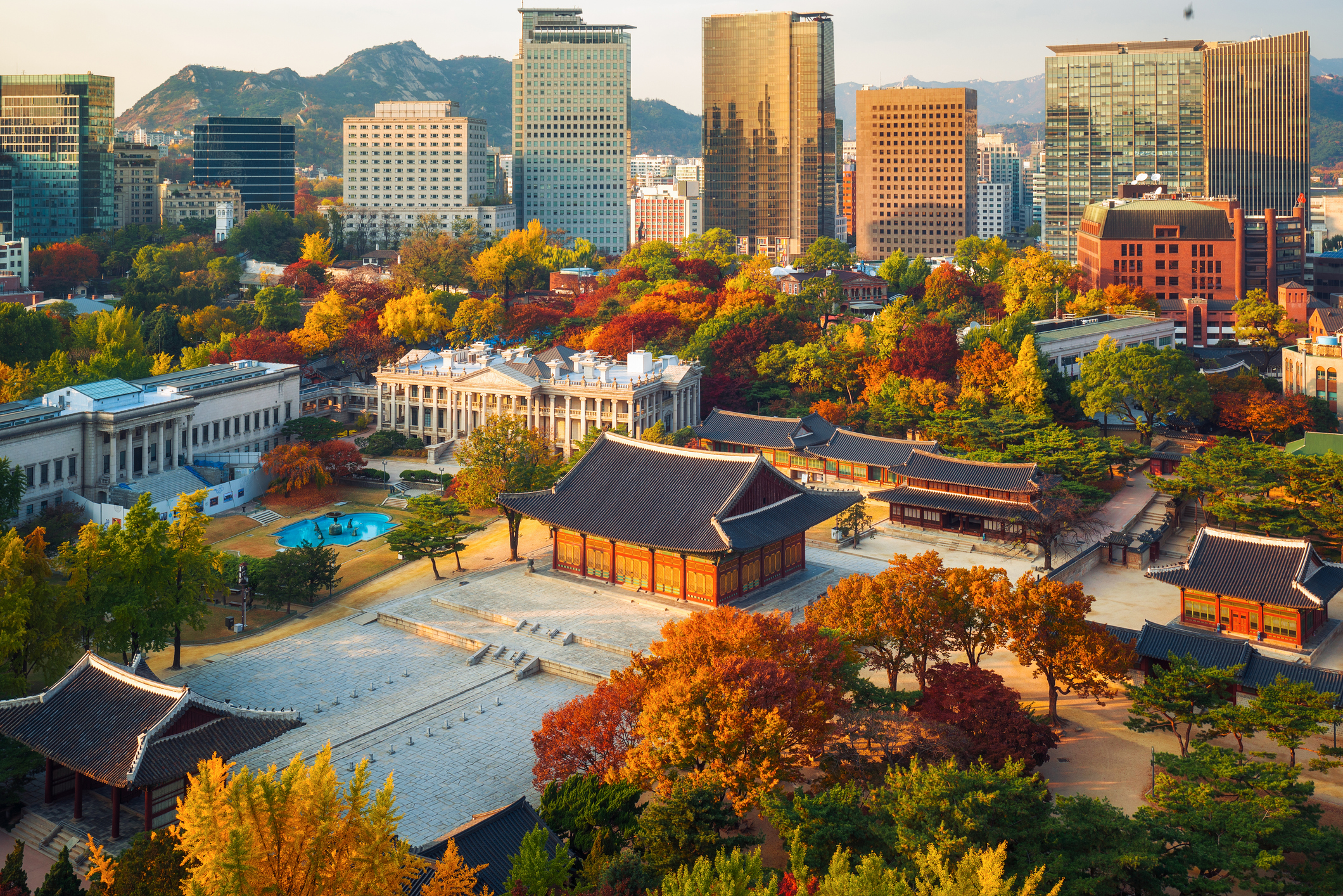 Seoul Autumn Colors