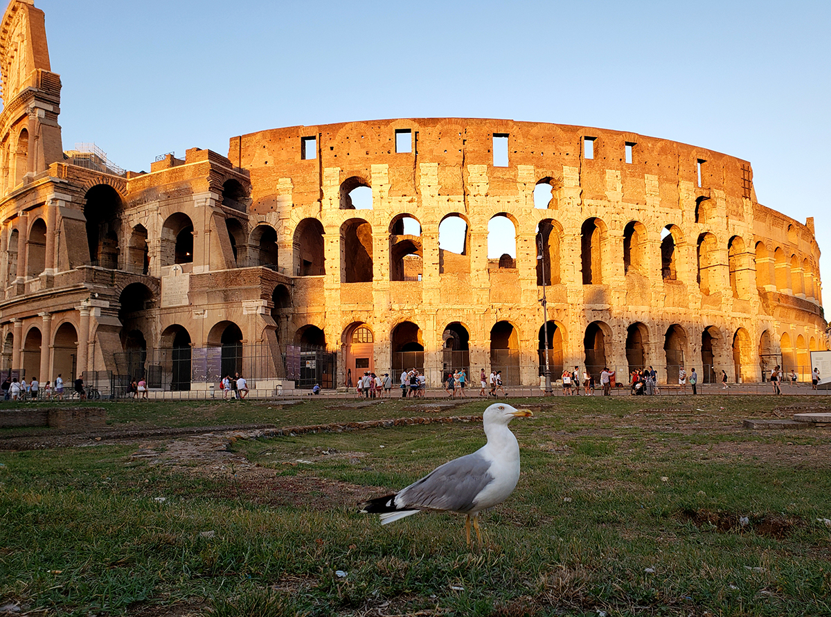 Study Abroad in Rome - the Colosseum