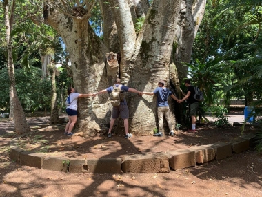 UA Student Joseph studied abroad in Mauritius. Students holding hands around a tree UA Student Joseph studied abroad in Mauritius. Students holding hands around a tree